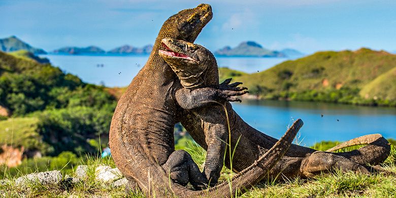 Labun Bajo Tour 3D2N
